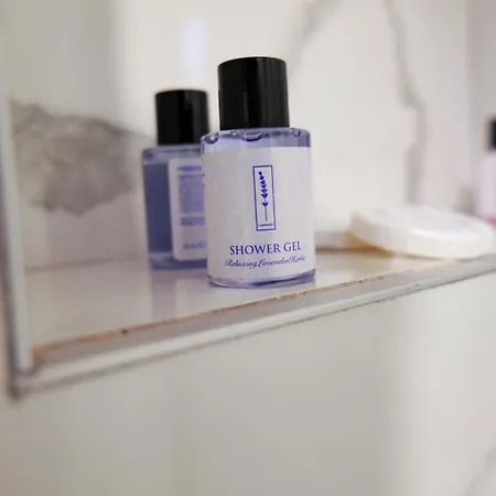 313 Center מלון 4*